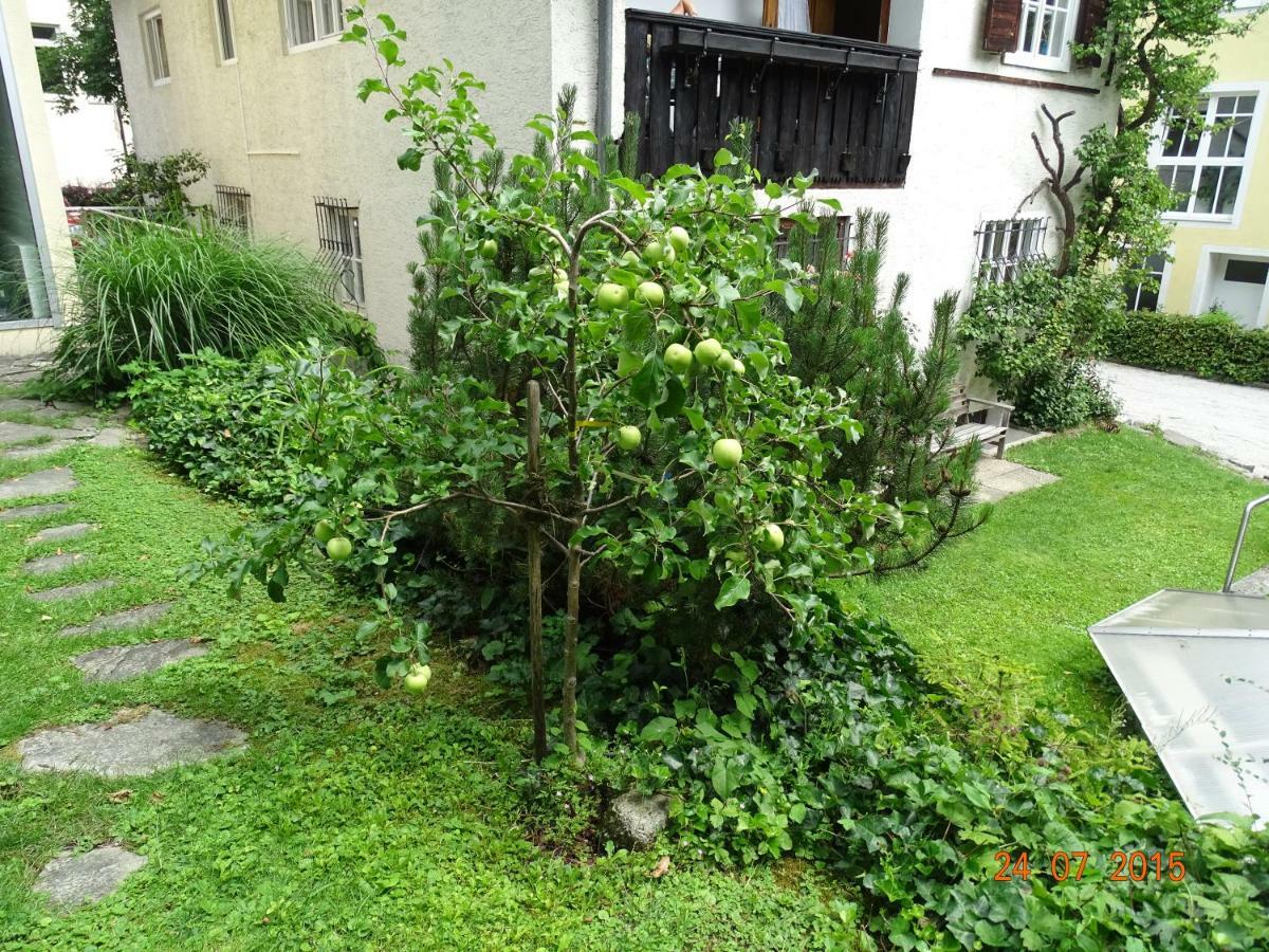 Gartenapartment Zell am See Eksteriør billede